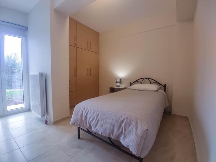 Cozy Modern * Ioannina