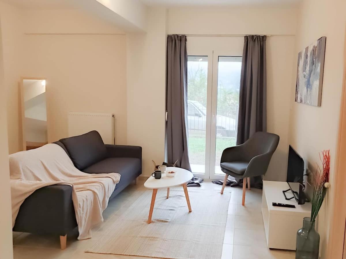 Cozy Modern Apartment